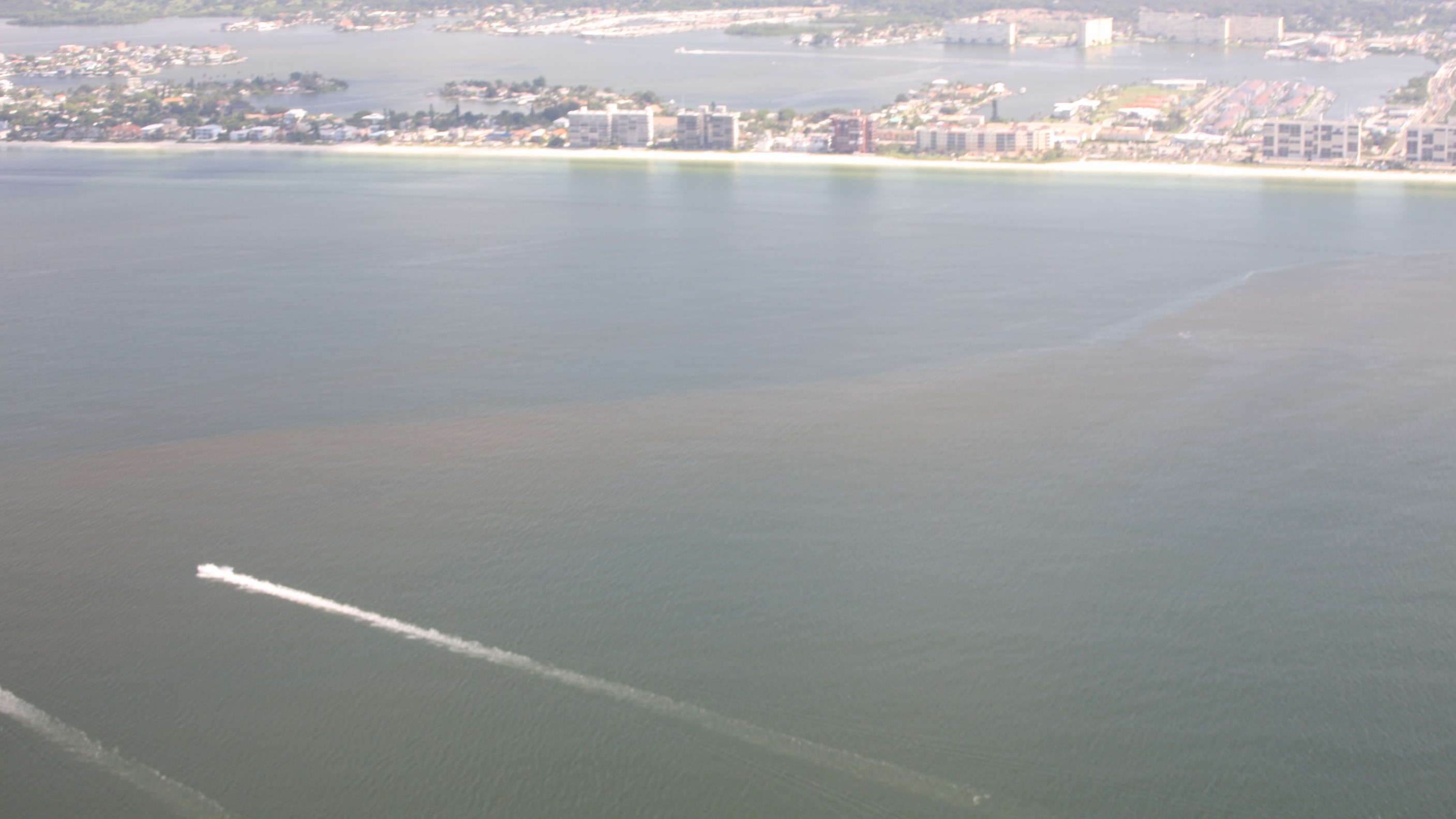 aerial view of Red Tide Bloom.A brownish water discoloration is observed.