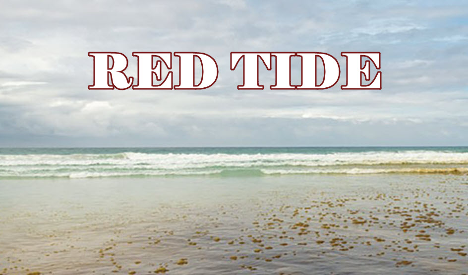 Red Tide written over photo of a beach with discolored water and a scummy layer visible in the surf.