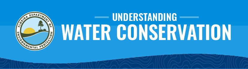thumbnail of water conservation infographic