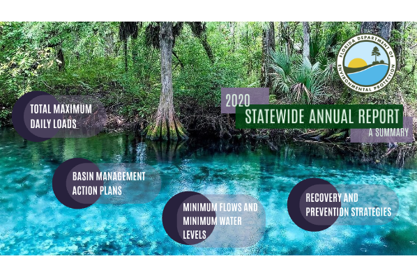 2020 Statewide Annual Report Cover Page