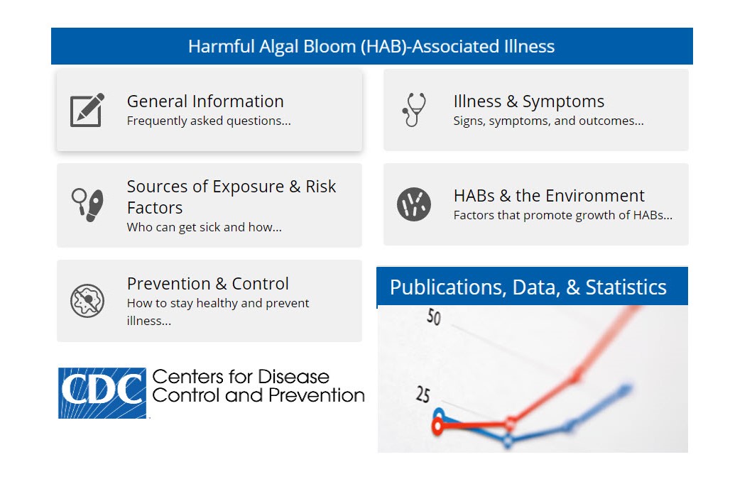 Screen grab from Center of Disease Control page. Page includes general information, illness and symptoms, sources of exposure and risk factors, HABs and the Environment, Prevention and Control, Publications, Data and Statistics.