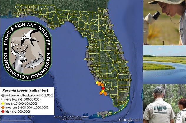 Collage images of FWC Red Tide map, logo, researcher looking through microscope, waterbody, and FWC officers,