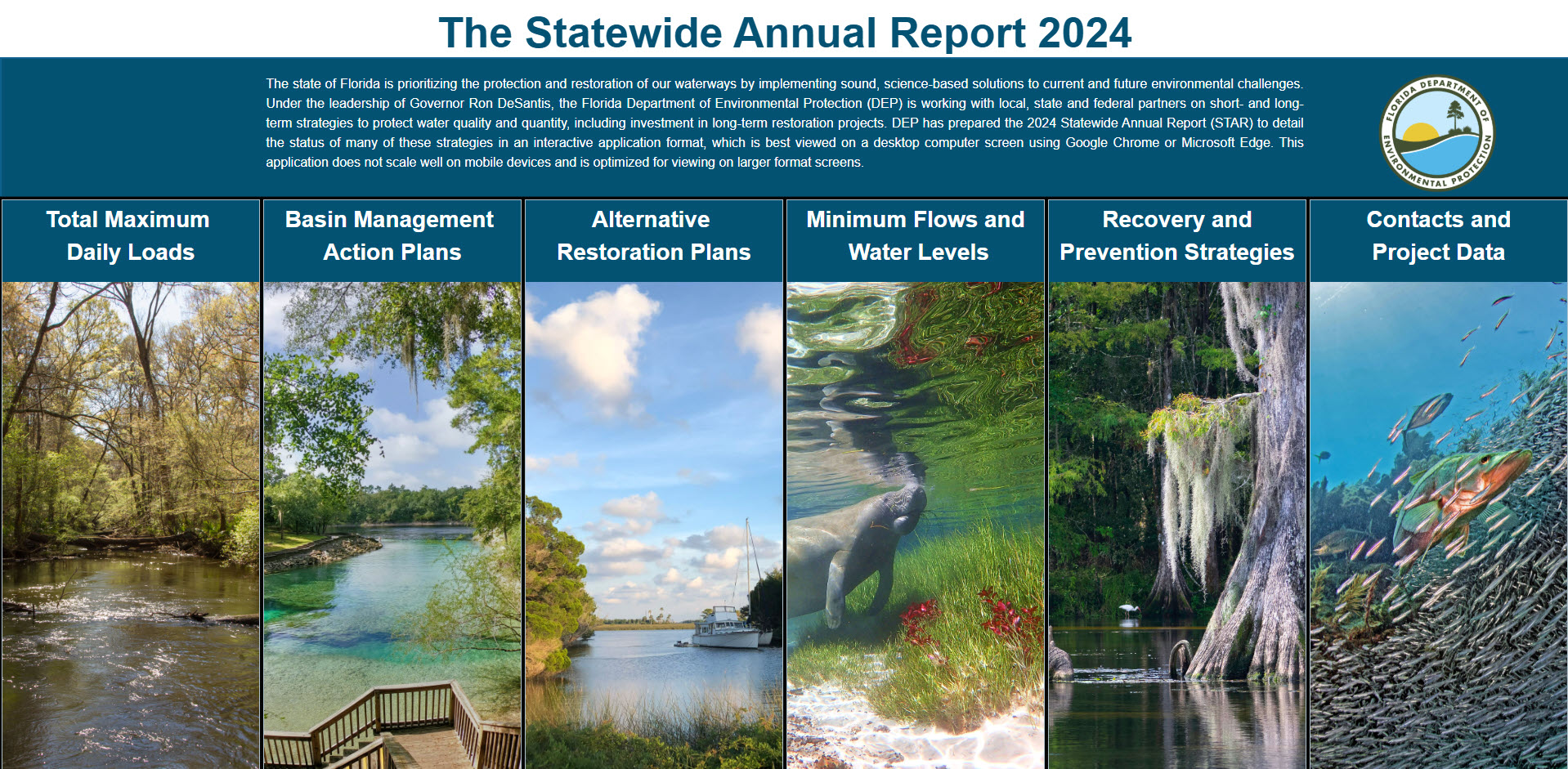star report 2024 header image
