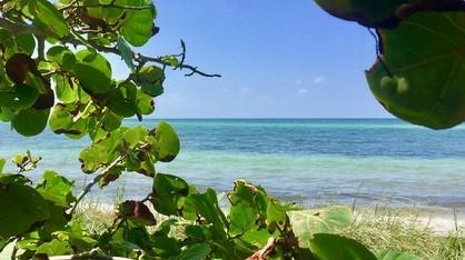 Bahia Honda State Park