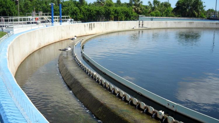 Water cascading over weir in wastewater treatment clarifier. Bird perched on weir.