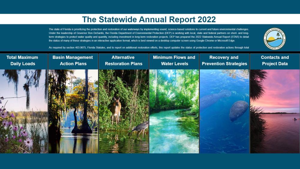 2022 statewide annual report header image
