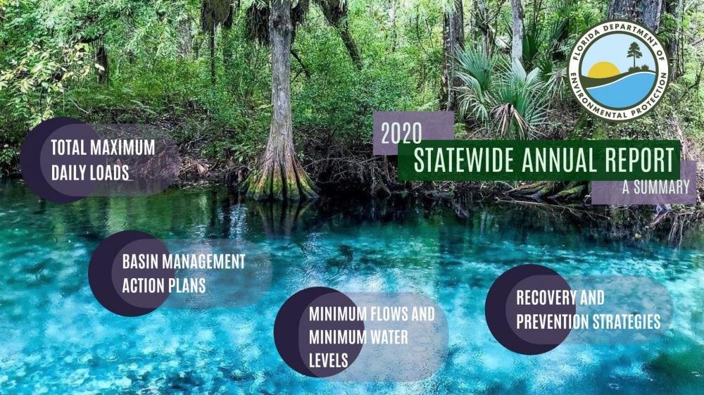 Statewide Annual Report Cover Page for 2020